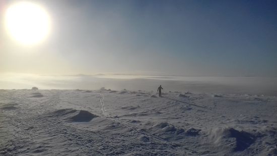 Weiter oben am Kiilopää ist von Vegetation keine Spur mehr.