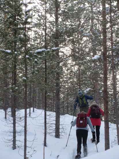 Der Tiefschnee im Wald war enorm kräftezehrend.