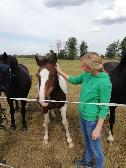 The Finn, the real Finn and nothing but the Finn