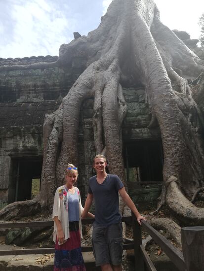 Die Natur holt sich den Dschungel zurück.