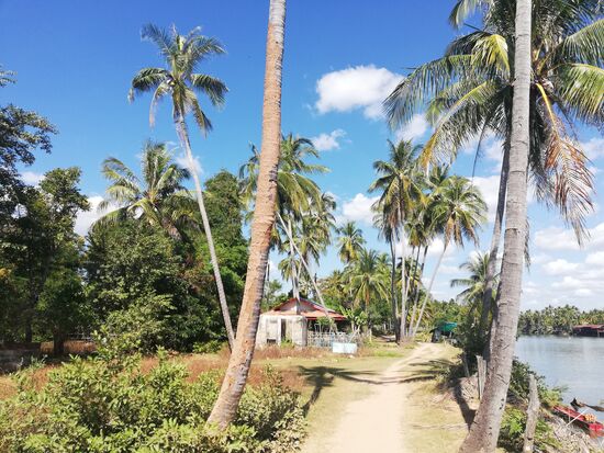 Dieser Weg führt einmal rund um die Insel