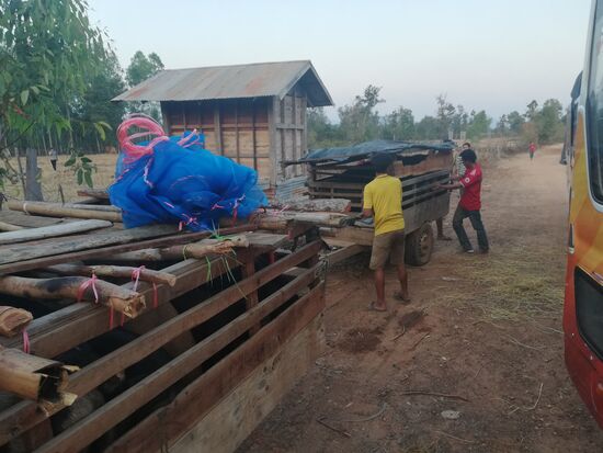 Der Schweinetransport kommt an.