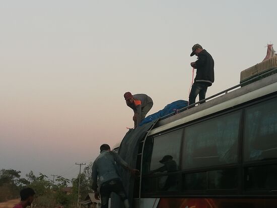 Und aufs Dach mit den armen Ferkeln.