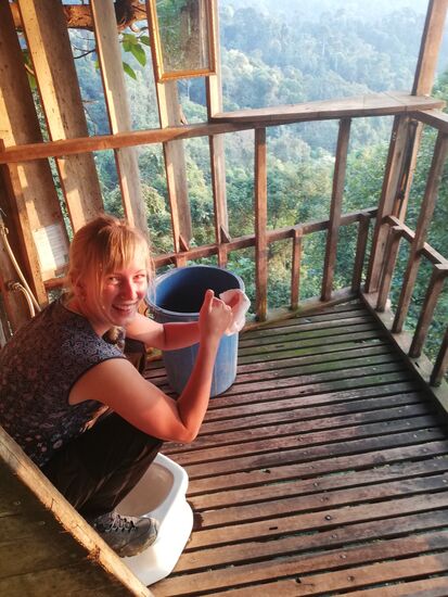 Baumhaustoiletten-Demo