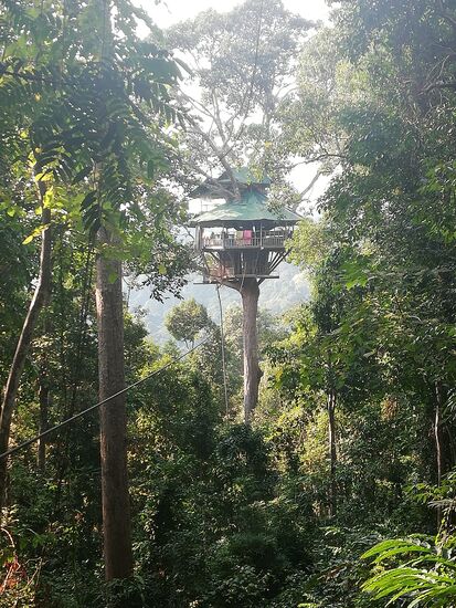Dieses Baumhaus ist der kleinere Nachbar unserer Unterkunft (leider habe ich davon kein Foto gemacht).