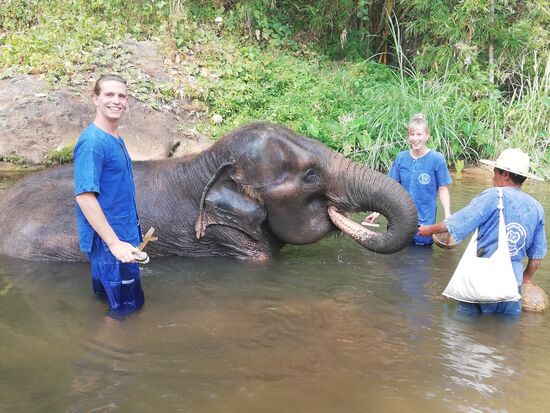 Der Besuch bei den Elefanten in Chiang Mai war eine wundervolle Erfahrung. Ich bin sehr froh, dass wir das gemacht haben.