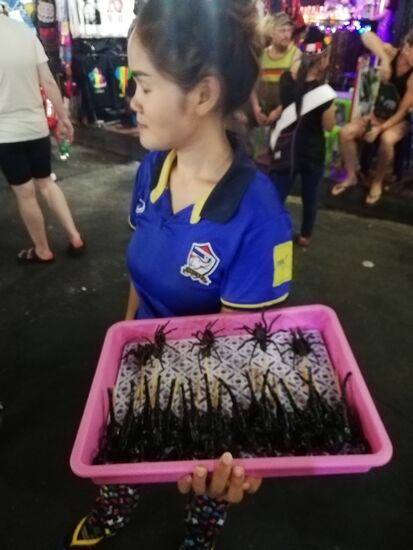 Spinnen und Skorpione isst in Thailand übrigens kein Mensch.