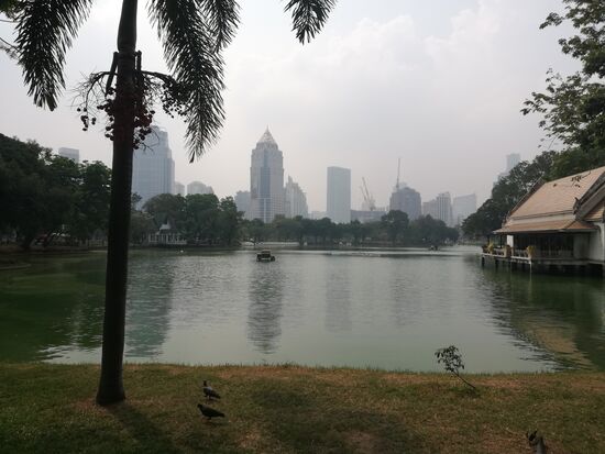 Lumpini Park