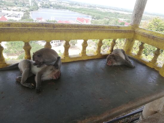 ... an dieser Bande vorbei.