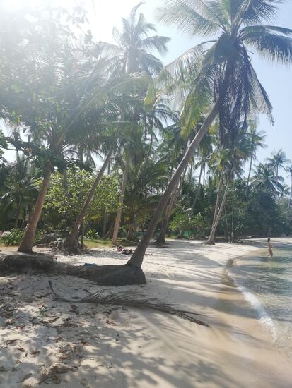 Paradiesischer wird es nicht mehr