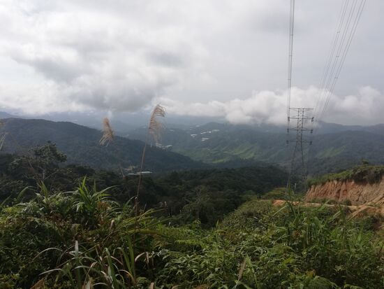 Und dann plötzlich bergab durch Gestrüpp und über schlammige Wege