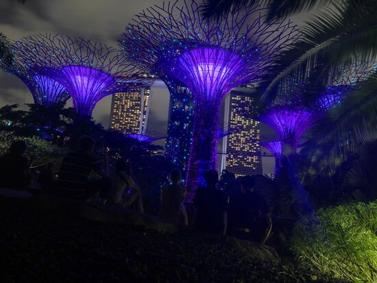 ... und die Gardens by the Bay (mit dem Hotel im Hintergrund)