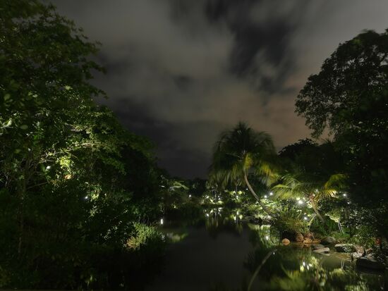 Eine perfekte Dschungelszenerie als Park angelegt. Wer hat, der kann, schätze ich.