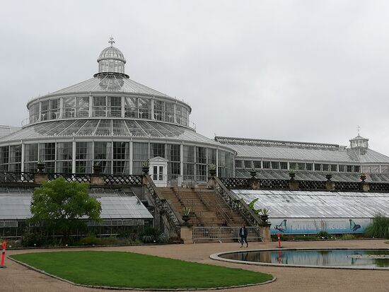 Schmetterlings- und Palmenhaus im Botanischen Garten