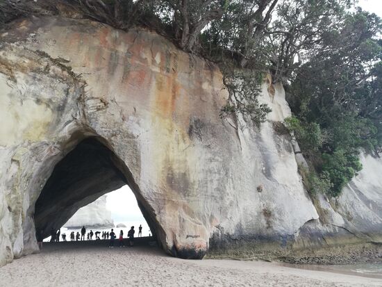 Cathedral Cove