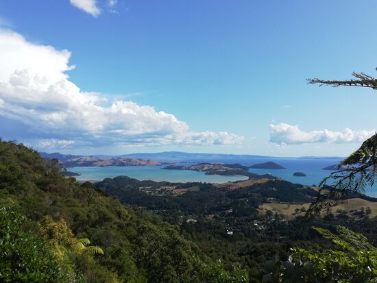 Was für ein Panorama im Norden der Coromandel-Halbinsel.