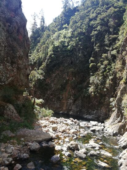 Karangahake Schlucht