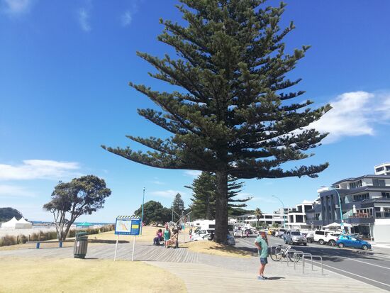 Promenade am Mt Maunganui