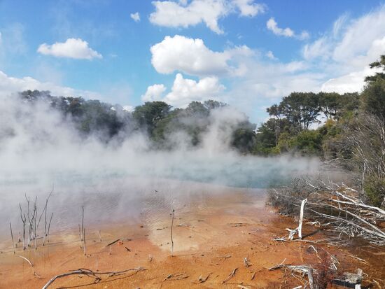 Es blubbert im Kuirau Park in Rotorua.