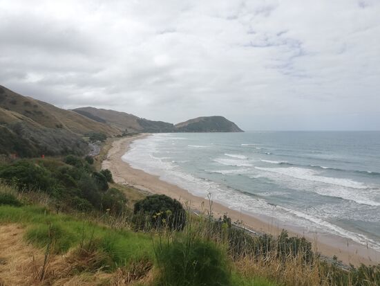 Etwas nördlich von Gisborne. Der perfekte einsame Strand, den man andernorts vergeblich sucht, hier gibt es ihn noch.