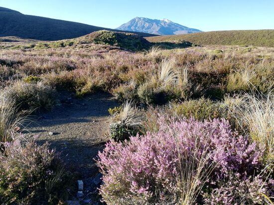 ... aber wir wurden mit einer der schönsten Landschaften Neuseelands belohnt.