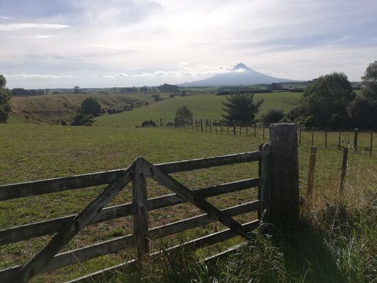Der Mt. Taranaki ist über einhundert Kilometer weit sichtbar.