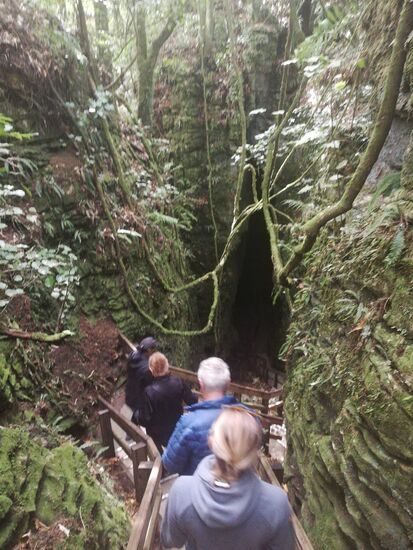 Hinab in die Tiefen der Waitomo Caves