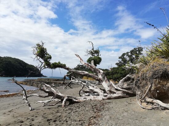 Kleine Buchten und Strände wie dieser erstrecken sich über die gesamte Ostküste Northlands.
