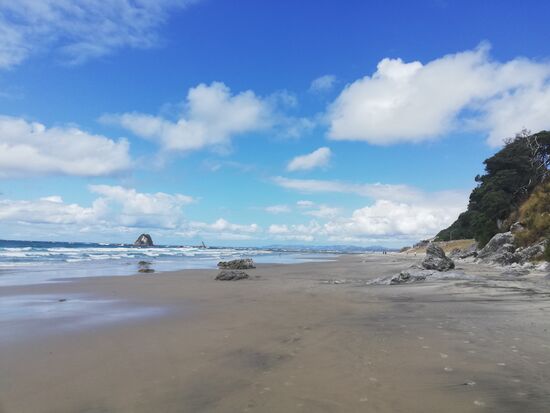 Der Mangawhai Cliff Walk beginnt und endet am Strand...