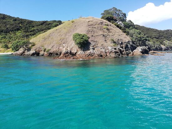 Eine der zahlreichen Inseln in der Bay of Islands und natürlich wieder dieses Wasser...