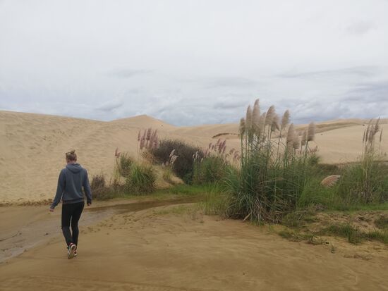 Und ab in die Wüste!