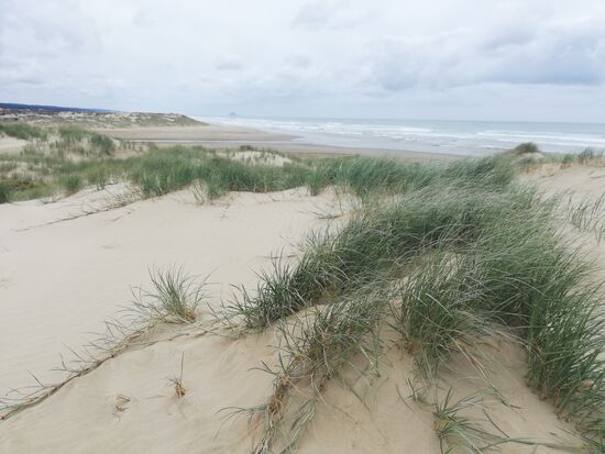 Totale Einsamkeit am 90-Mile-Beach