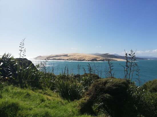 Die Düne, die wir von unserer Unterkunft in Opononi bestaunen konnten.