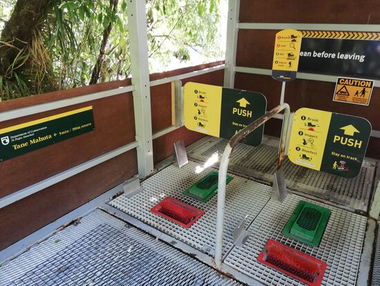 Wie gesagt, in Neuseeland wird Schädlingsbekämpfung groß geschrieben. Wer zu den Bäumen möchte, muss erst einmal seine Schuhe desinfizieren.