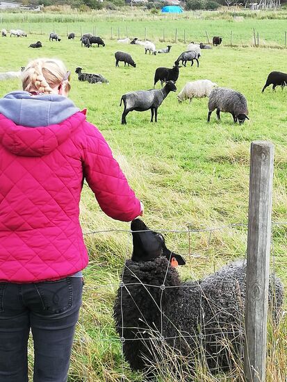 Rieke hat ein Händchen für Tiere