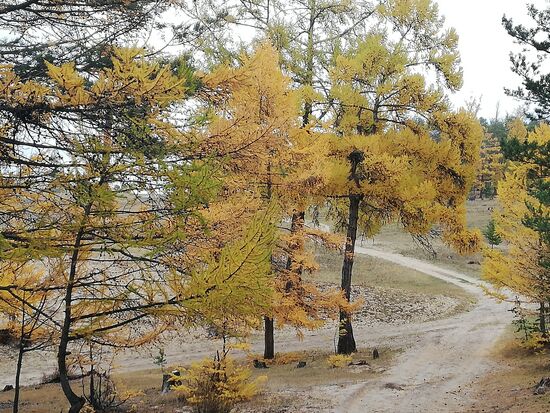 Indian summer auf russisch.