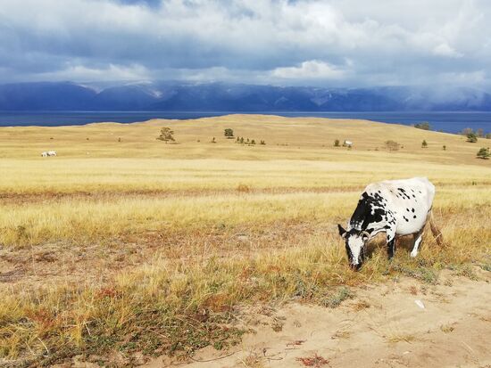 Die zweite Wanderung führte mehr in steppiges Grasland.
