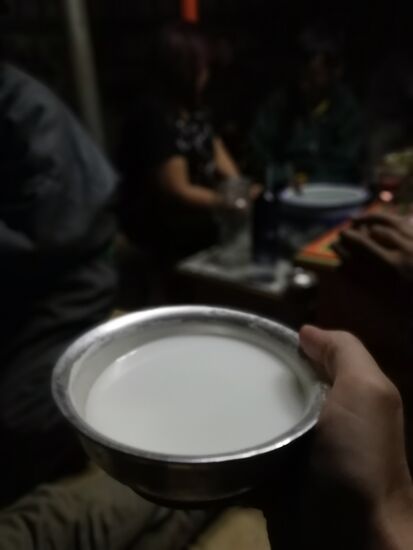 Prost! Mit fermentierter Pferdemilch