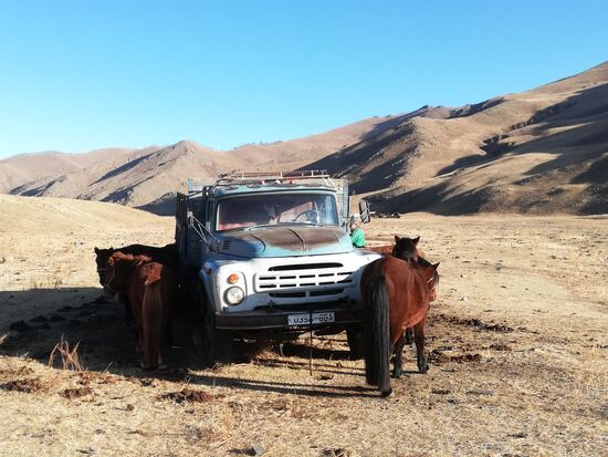 Die wissen schon, was ihnen blüht.