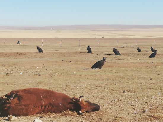 Von allen Seiten wird man angegeiert.