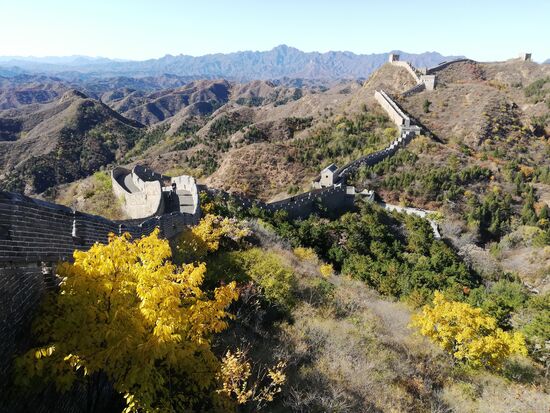 Auf der Mauer, auf der Lauer...