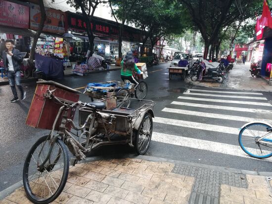Die zwei Seiten Chengdus: Subtropisch und quirlig...