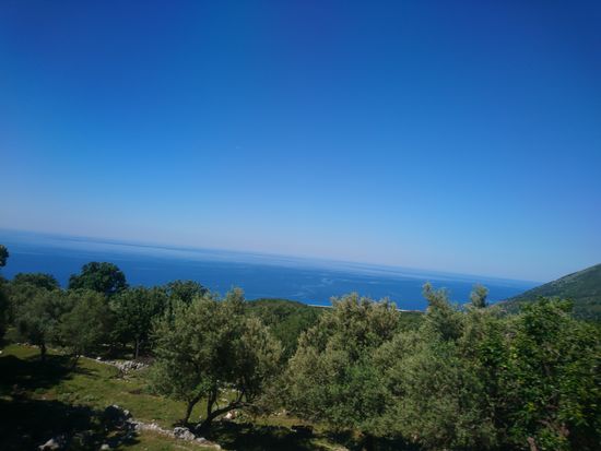 Olivenbäume, grüne Hänge und Meer, so weit das Auge reicht.