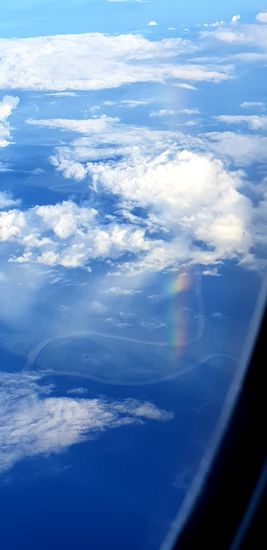 Regenbogen im Dschungel