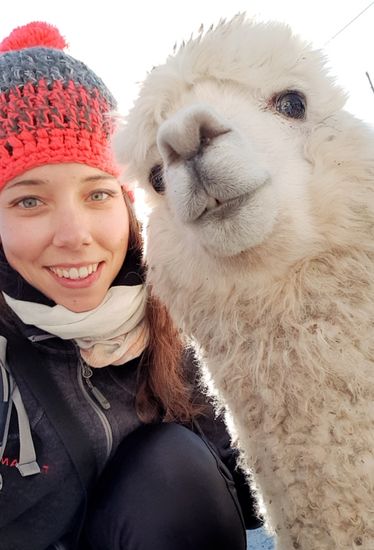 Und auch Alpakas gab es hier.