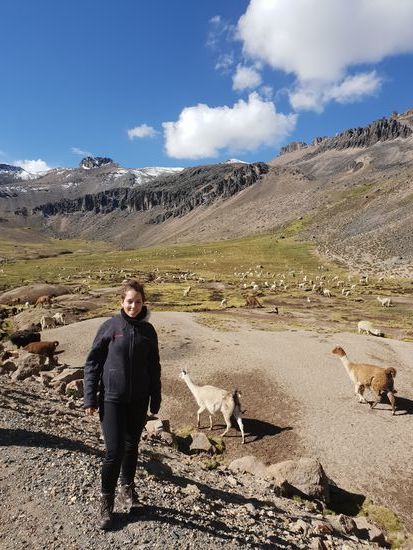 Auf dem Weg sahen wir viele freilebende Lamas und Alpakas.