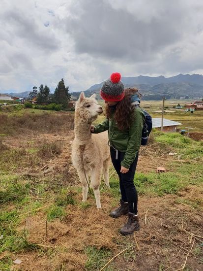 Überall kleine Freunde.