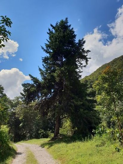 Hätte doch genau so auch im Sauerland stehen können