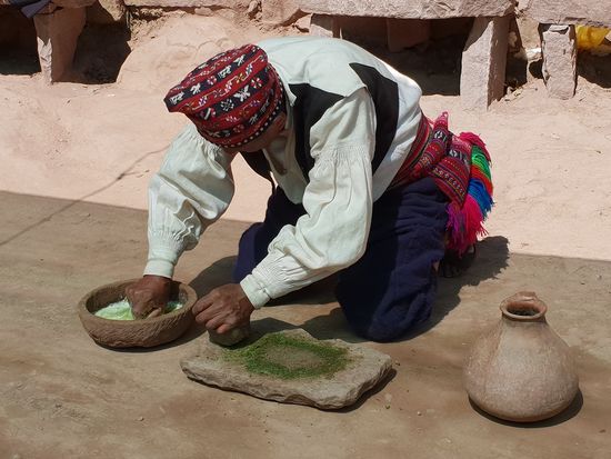 Waschen mit Pflanzen