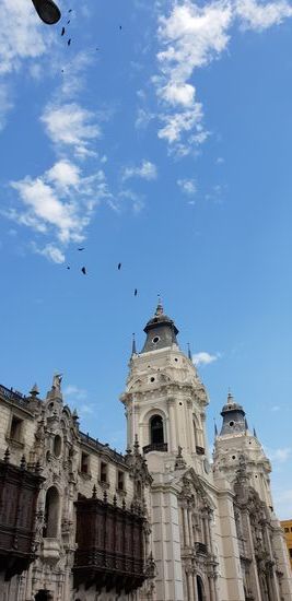 Über Lima Downtown flogen total viele Geier. Ich habe noch nie in meinem Leben welche gesehen und hätte sie auch nicht in einer Großstadt erwartet. Mit dem Fluss Rimac, der durch Lima verläuft, haben sie jedoch ziemlich gute Lebensbedingungen.